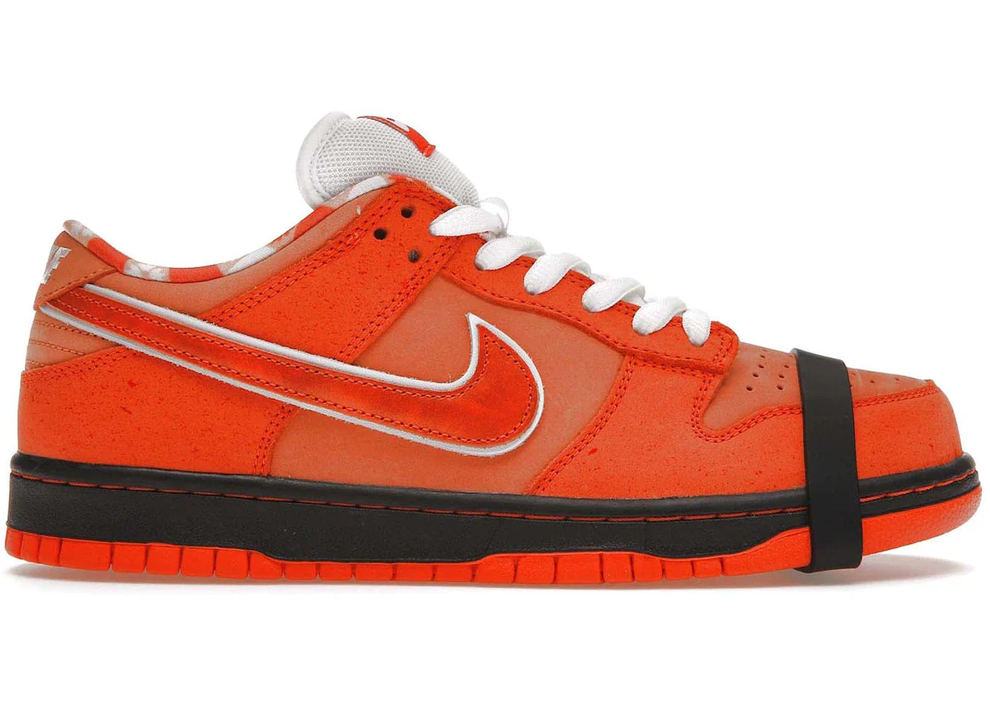 Cncpts nike sb online